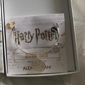 Alex and Ani Harry Potter Bracelet